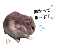 838656765