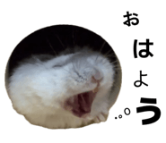 838656768