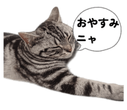838656914