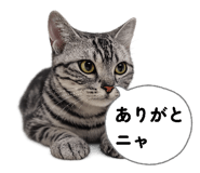 838656915