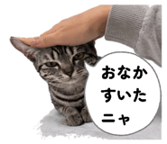 838656918