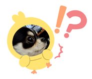 838656996