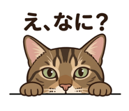 838657116
