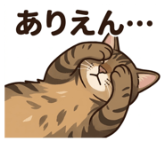 838657118