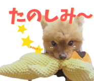 838657138