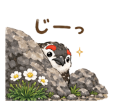 838657450