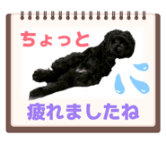 838658657