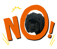 838658668