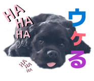 838658679