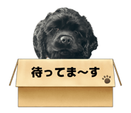 838658684