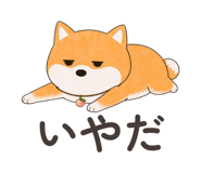 838659024