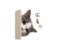 838659834