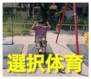 838660172