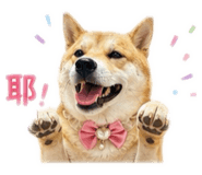 838660514