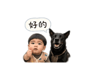 838661118