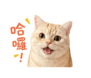838662745