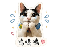 838663972