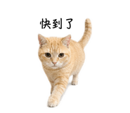 838664033