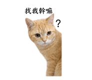 838664034