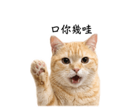 838664035