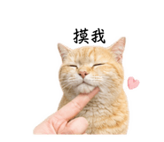 838664036