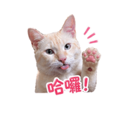 838664305
