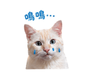 838664312