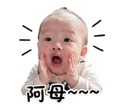 838664555