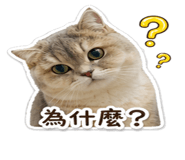 838665538
