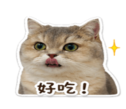 838665541