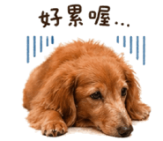 838666233