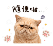 838670338