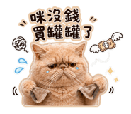 838670340