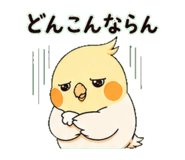 838673654
