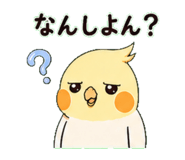 838673655