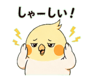 838673657