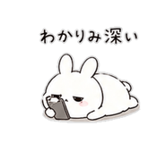 838673811