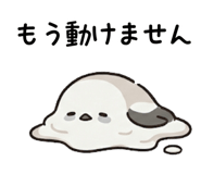 838674458