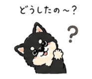 838674592
