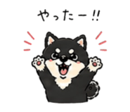 838674593