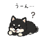 838674594