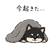 838674602