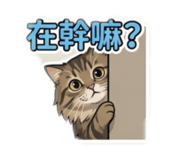 838674805