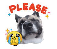 838675331