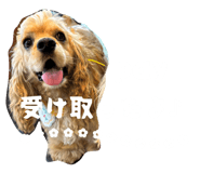 838675354