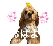 838675361