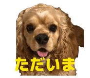 838675362