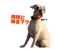 838675498