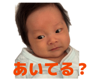 838675818