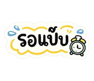 838676204